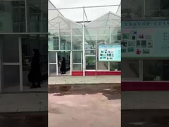 시추안 시혼 아미노산 공장 - 룰루