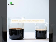 펩타이드 흐름 Ca-B 운송 액체 快速 吸收 칼슘, 붕소 및 작은 펩타이드 가속화 과일 세포 확장을 위해
