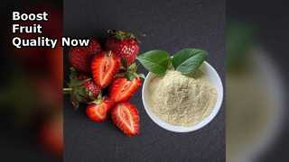 유기 칼슘 비료는 과일 수확량을 향상시킵니다