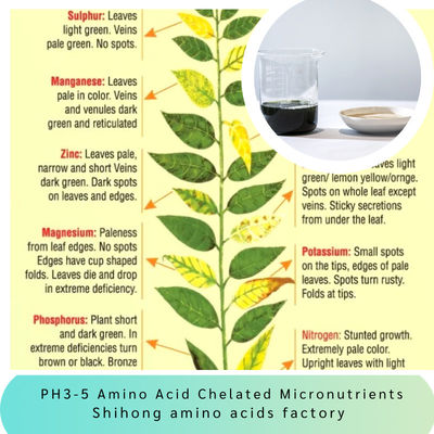 Ph3-5 Amino Acid Chelate Fertilizer