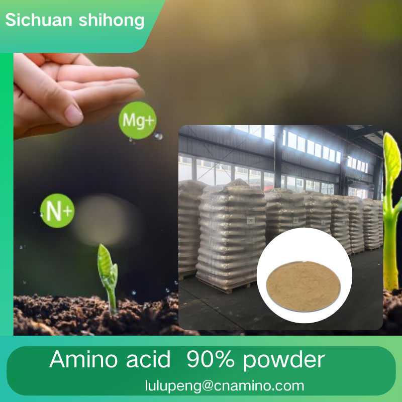 Vegetable Amino Acid 90% Powder With Our High-Performance Solution