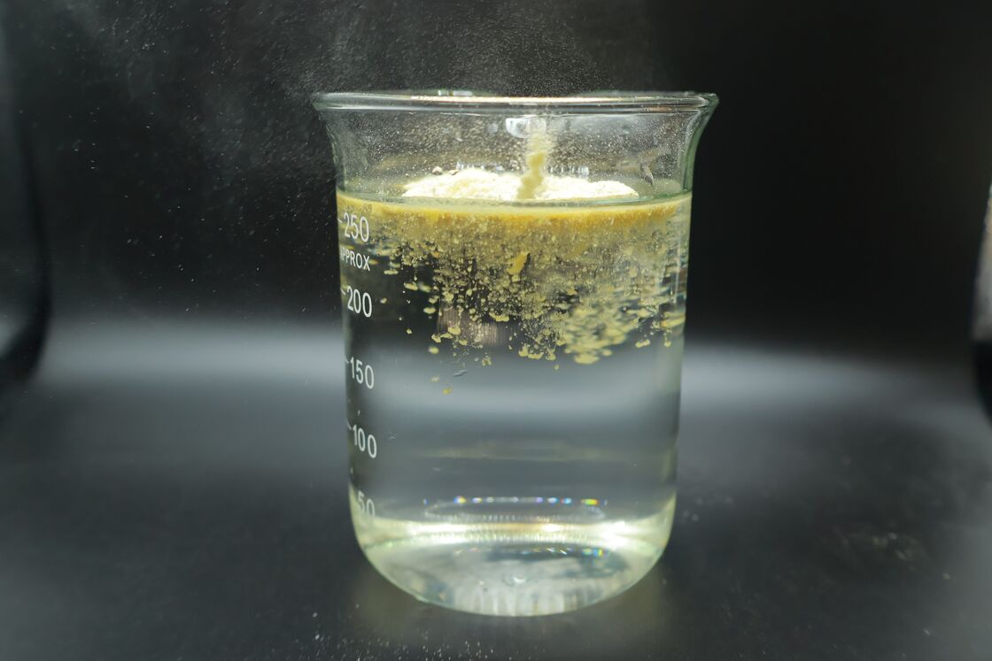 Plant Based Enzyme Amino Acid Mix for Superior Digestive Support and Efficient Breakdown of Proteins Carbohydrates and Fats