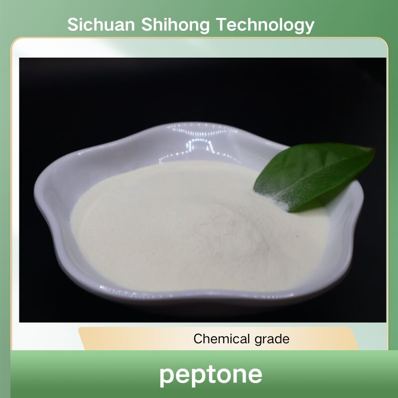 Food Grade Collagen Peptide Powder with 90% Protein and Neutral Slightly Sweet Flavor for Nutraceuticals