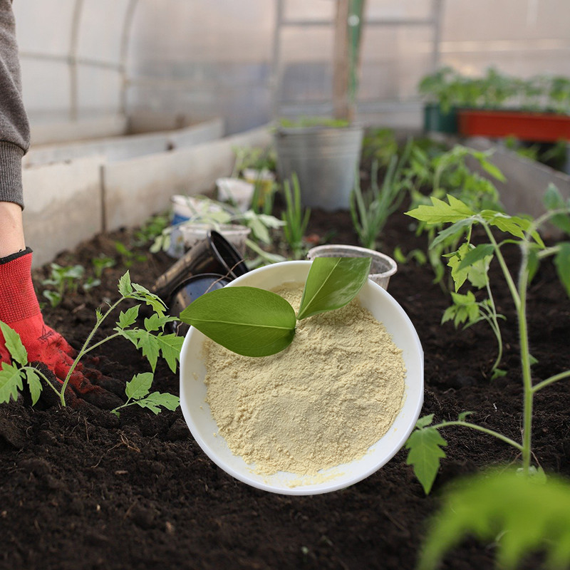 Organic Fertilizer Amino Acid Chelated Zinc Micronutrients